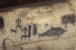 incisioni grotta del genovese a levanzo