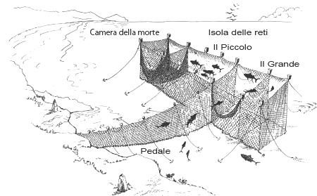 schema camera della morte