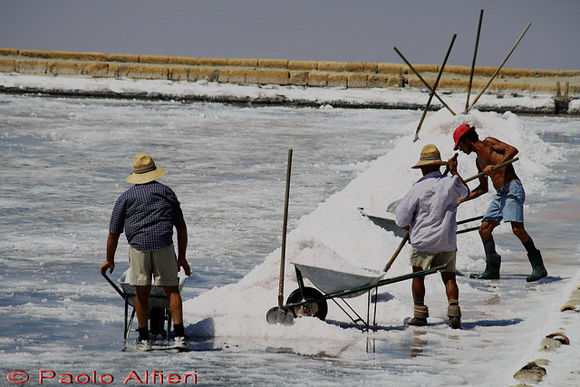 La raccolta del sale