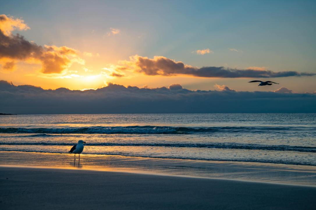 San Vito Lo Capo: Un Paradiso tra Mare, Storia e&nbsp;Natura